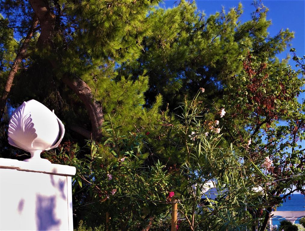 Le Due Pigne (Adults Only) Βίλα Ταράντο Εξωτερικό φωτογραφία